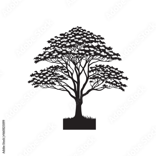 Dogwood Tree Silhouette Isolated on White Background.