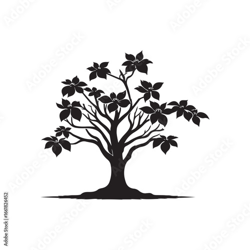 Dogwood Tree Silhouette Isolated on White Background.