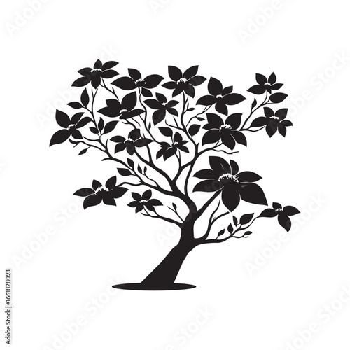 Dogwood Tree Silhouette Isolated on White Background.