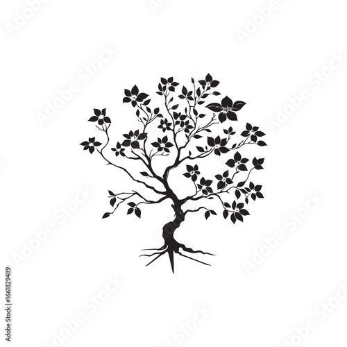 Dogwood Tree Silhouette Isolated on White Background.