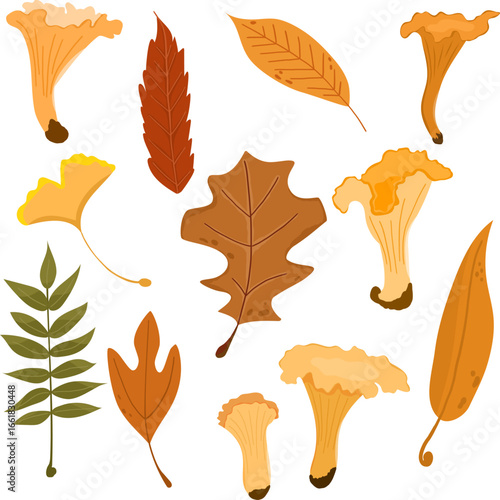 Autumn set with leaves and mushrooms. Forest element chanterelles and colourful leaves. Vector season collection in cartoon style. Hand drawn isolated on white background.