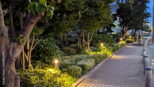 夜道