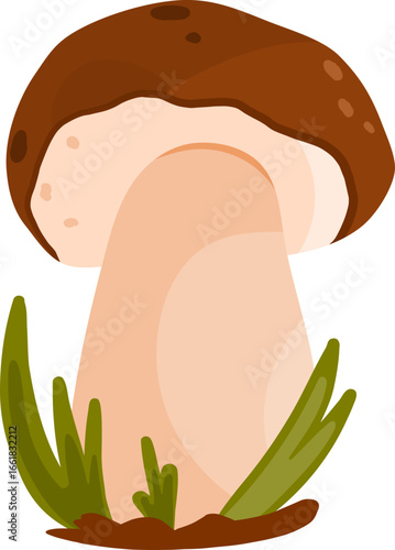 Edible mushrooms Boletus. Autumn season. Vector mushrooms soled on white background in cartoon style. 