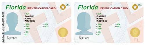 Florida Identification cards vector illustration. ID card design 