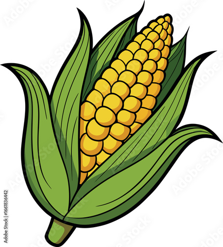 Realistic color Vector art silhouette image of an ear of corn