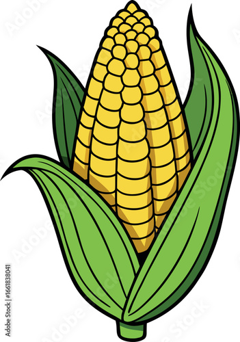 Realistic color Vector art silhouette image of an ear of corn