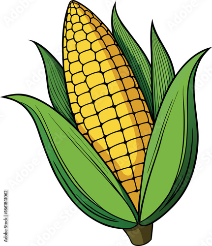 Realistic color Vector art silhouette image of an ear of corn