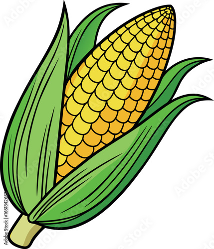 Realistic color Vector art silhouette image of an ear of corn