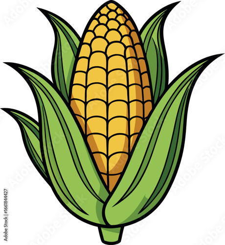 Realistic color Vector art silhouette image of an ear of corn