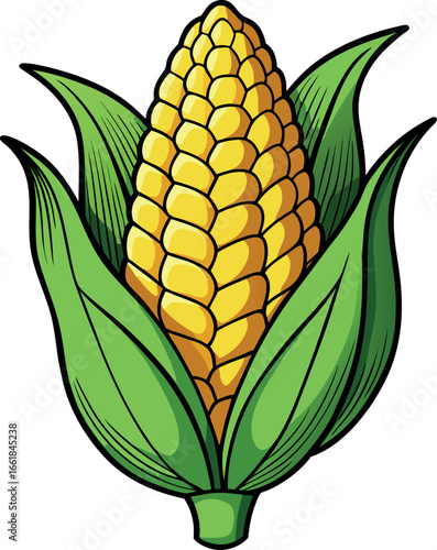 Realistic color Vector art silhouette image of an ear of corn
