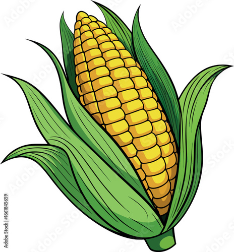 Realistic color Vector art silhouette image of an ear of corn