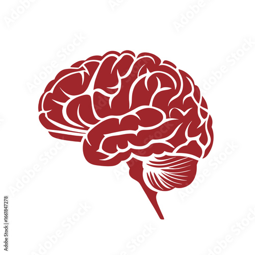 Red human brain silhouette with white gyri and sulci on white background head mind