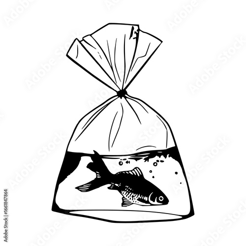 goldfish in a plastic bag 