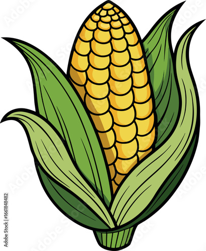 Realistic color Vector art silhouette image of an ear of corn