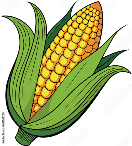 Realistic color Vector art silhouette image of an ear of corn