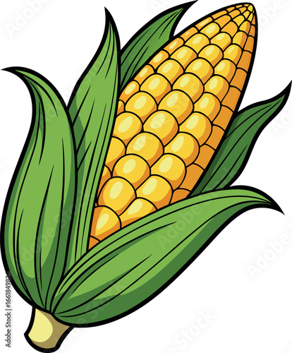 Realistic color Vector art silhouette image of an ear of corn