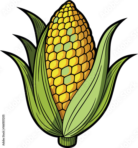 Realistic color Vector art silhouette image of an ear of corn