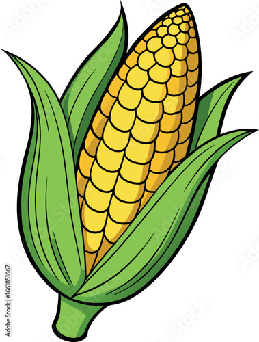 Realistic color Vector art silhouette image of an ear of corn