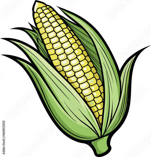 Realistic color Vector art silhouette image of an ear of corn