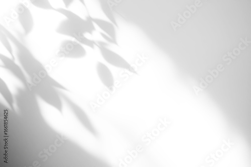 Fotografie shadow overlay effects of realistic abstract natural tree leaves shadow on trans