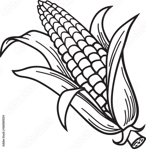 Vector art silhouette image of an ear of corn with a black outline drawing