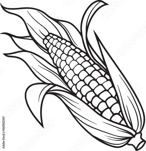 Vector art silhouette image of an ear of corn with a black outline drawing