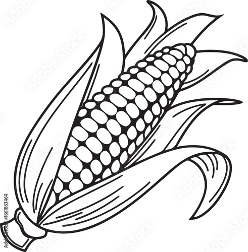 Vector art silhouette image of an ear of corn with a black outline drawing