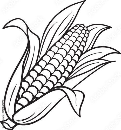 Vector art silhouette image of an ear of corn with a black outline drawing