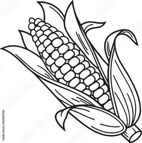 Vector art silhouette image of an ear of corn with a black outline drawing