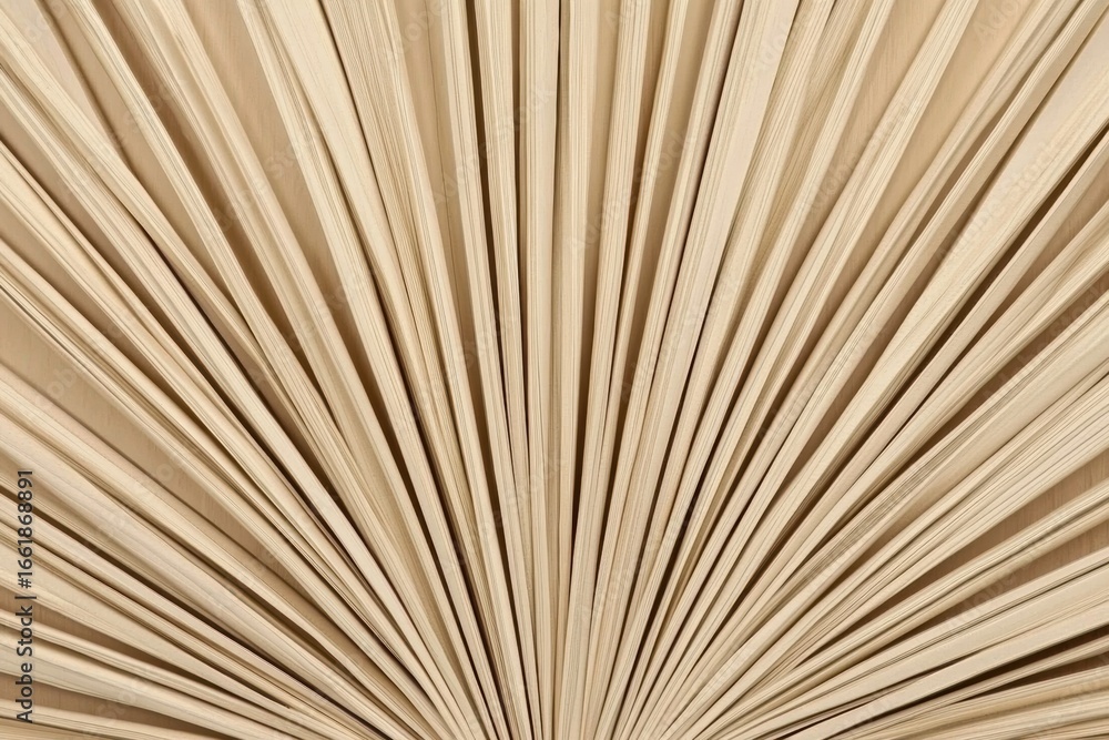Obraz premium Abstract close-up of light brown wooden sticks in fan-like arrangement, Close up dried fan shaped