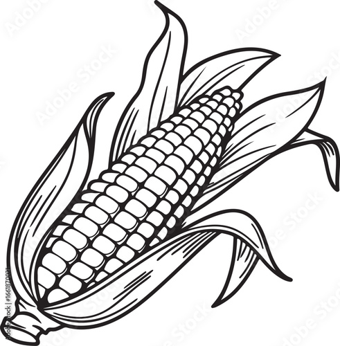 Vector art silhouette image of an ear of corn with a black outline drawing