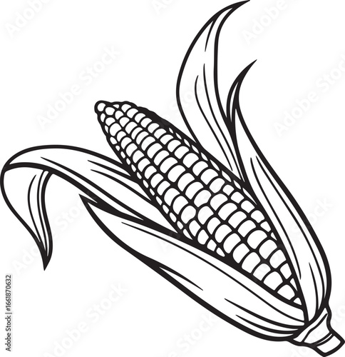 Vector art silhouette image of an ear of corn with a black outline drawing