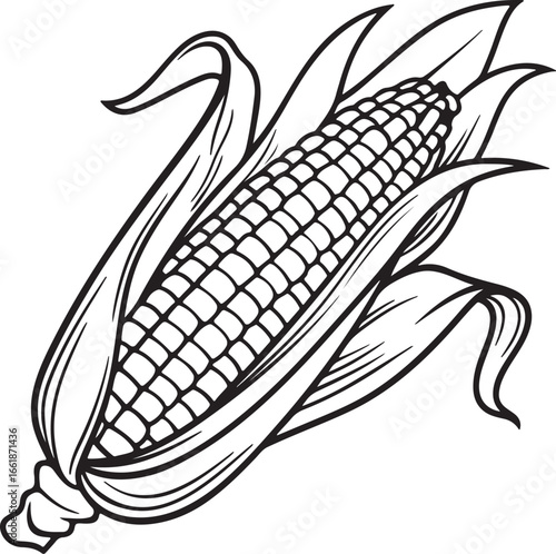 Vector art silhouette image of an ear of corn with a black outline drawing