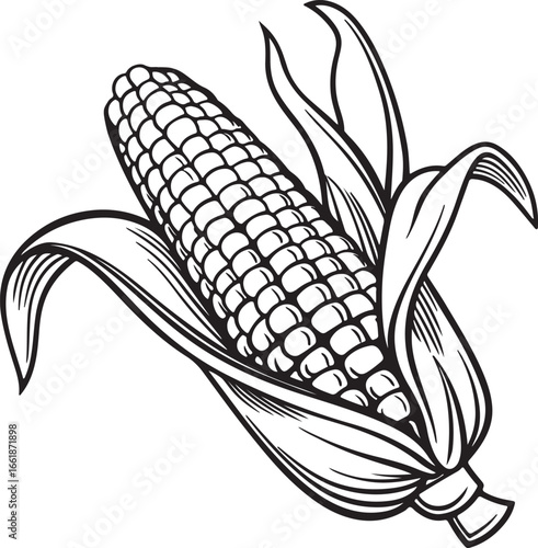 Vector art silhouette image of an ear of corn with a black outline drawing