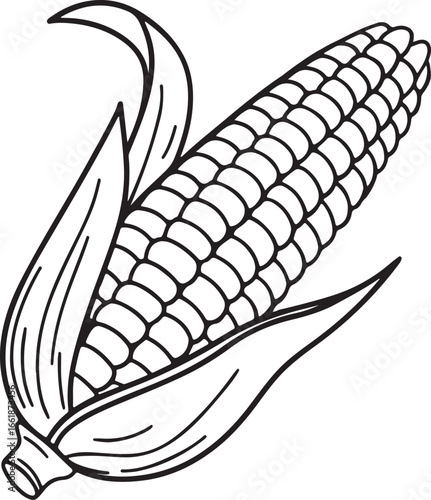 Vector art silhouette image of an ear of corn with a black outline drawing