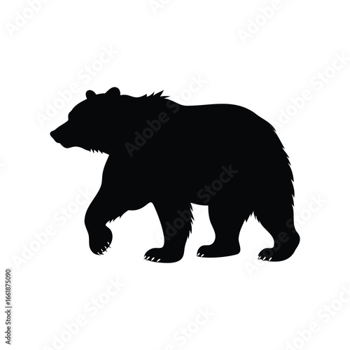 Silhouette of a bear walking slowly against a white background design element, bear with paw print silhouette vector illustration