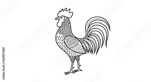 Line Art Rooster: A finely detailed line art illustration of a rooster, highlighting its striking features and elegant form.