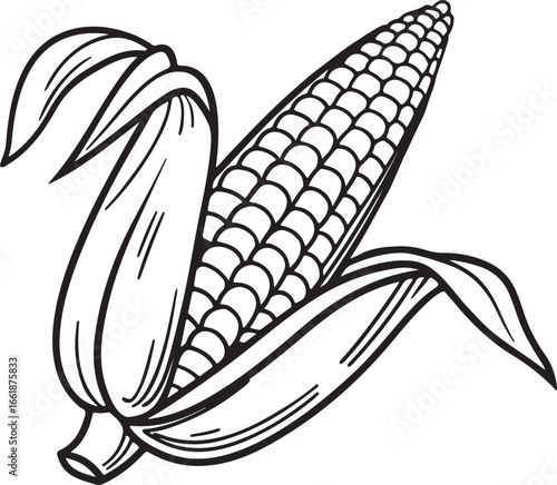 Vector art silhouette image of an ear of corn with a black outline drawing