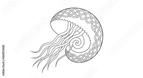 Nautilus shell illustration: A detailed line art illustration of a nautilus shell, showcasing its intricate spiral design and elegant curves, emphasizing the shell's beauty.
