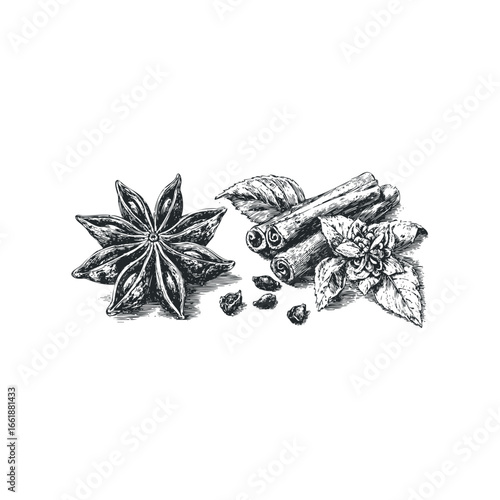 Hand Drawn Star Anise Cinnamon Sticks and Leaf Arrangement