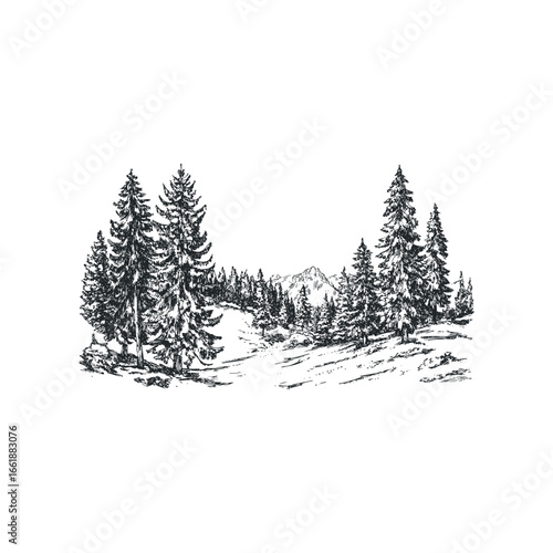Sketchy evergreen forest landscape with distant mountains and snowy ground