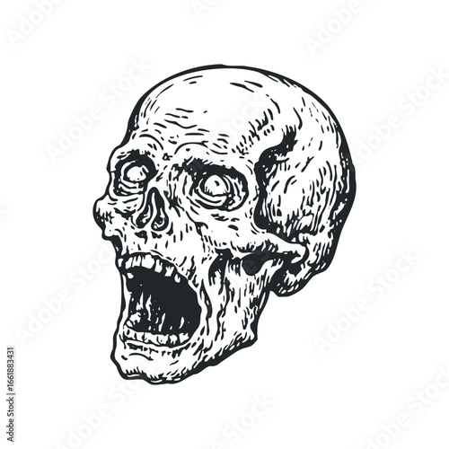 Expression of terror, skull with wide open mouth and vacant eyes
