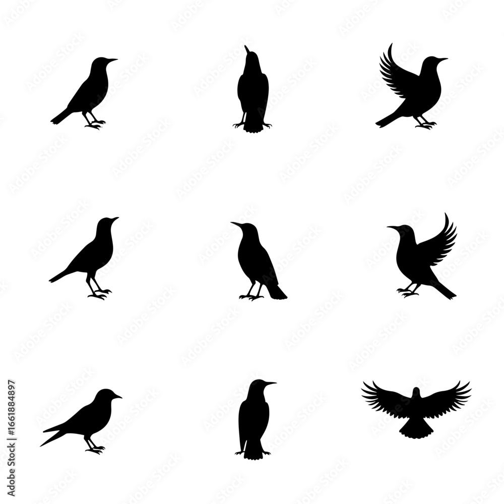 Fototapeta premium birds silhouettes vector