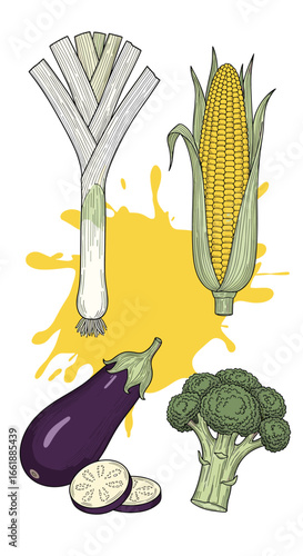 A vibrant assortment of fresh garden vegetables including leeks corn broccoli and eggplant