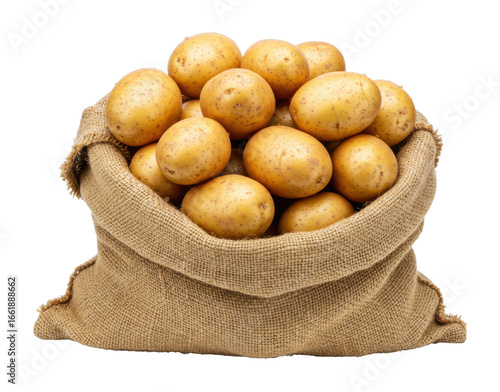 Harvesting fresh organic potatoes from local farms rustic setting food natural light isolated PNG
