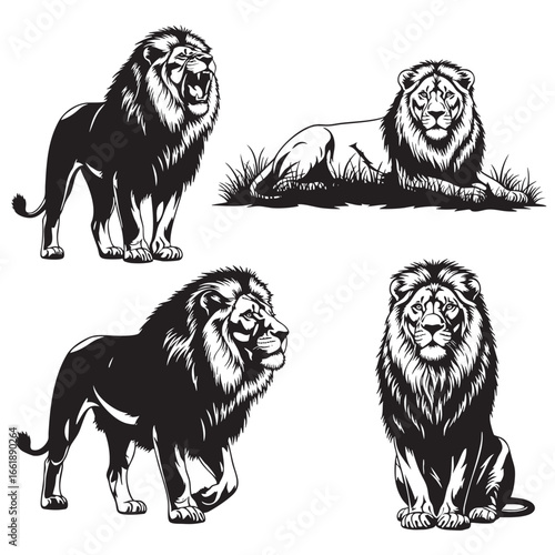 Dynamic Silhouettes of Four Majestic Lions in Various Poses on a White Background king of the jungle