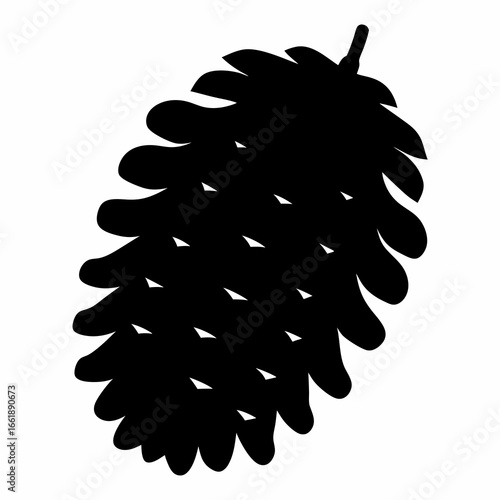 Silhouette of a pine cone revealing its intricate overlapping scale structure