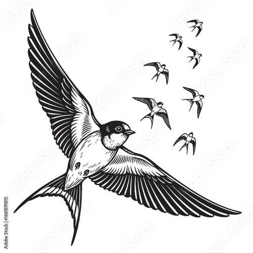 Flock of Swallows in Flight with Detailed Wing Feathers and Stylized Design bird flying