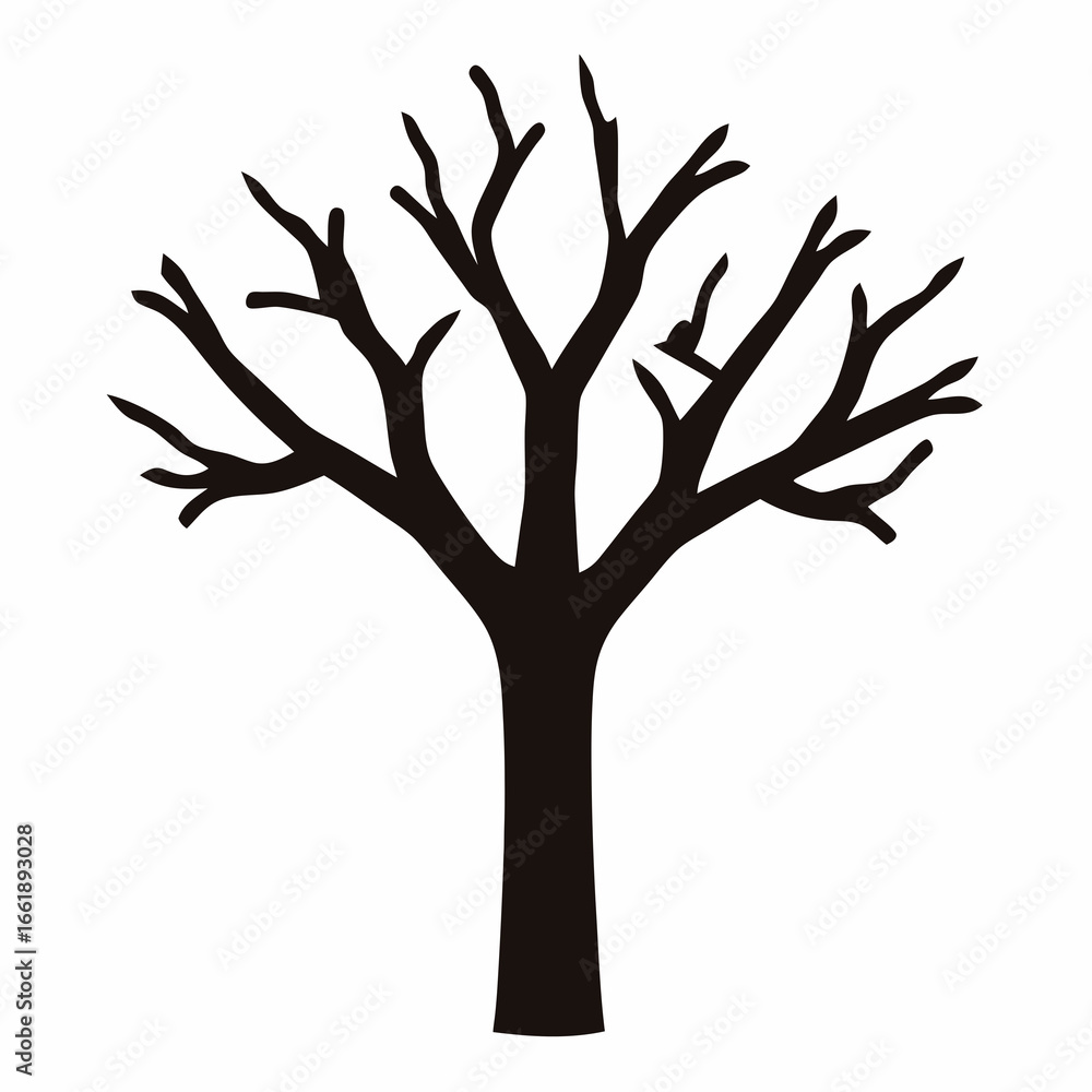 Fototapeta premium Silhouette of a leafless tree with bare branches against a white background