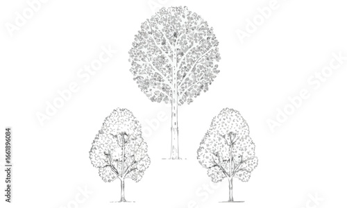 Tree & Shrub Silhouettes Vector Tree Lineup, Bush Clusters, Landscape Icons